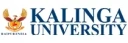 Kalinga University