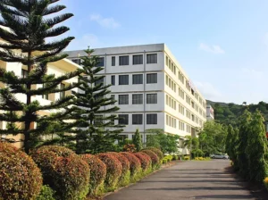 timr pune